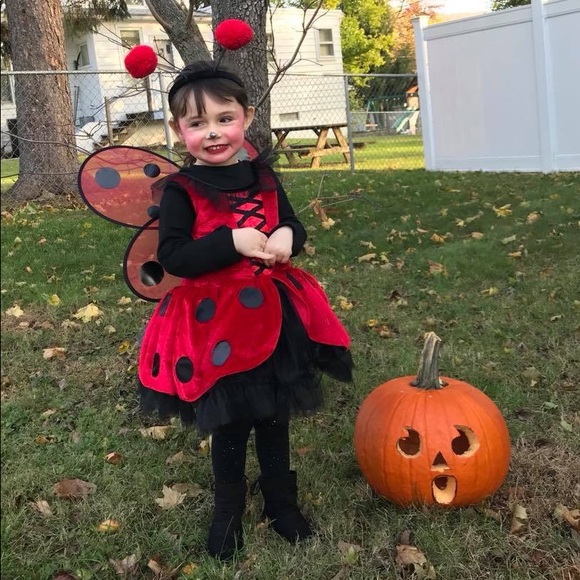 Other - GIRLS LADYBUG HALLOWEEN COSTUME - 5T